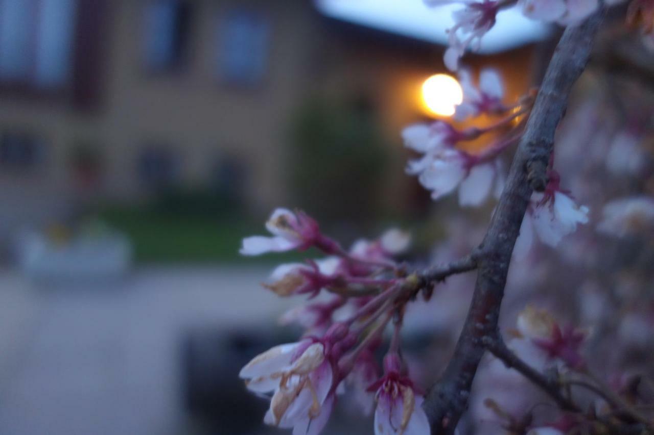 Agriturismo L'Antico Sapore Baraggia di Boca Екстер'єр фото